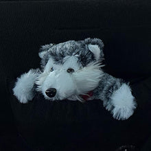 Husky Plush