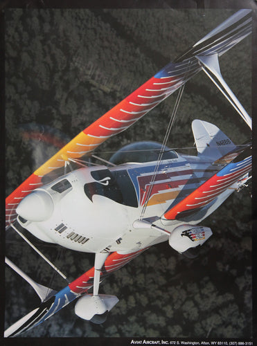 Eagle N48BB In Flight Poster